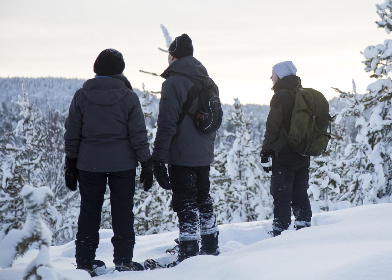 Wilderness Hotel Inari & Igloos Exterior photo
